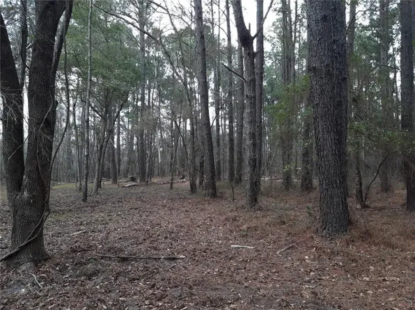 6 Pelican Point Dr, Darien, GA 31305
