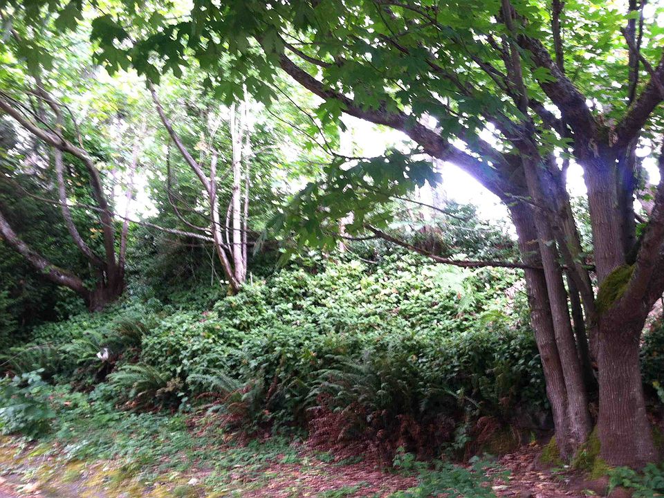 2nd image of 517 NE 97th St