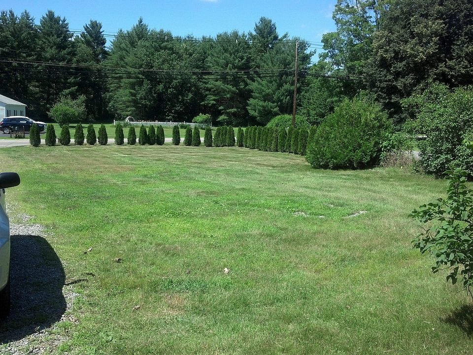 Front yard