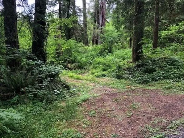 NE Elliott Rd, Yacolt, WA 98675