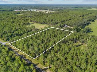 0 SW Jeanlea Pl #3, Fort White, FL 32038