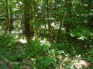 744 Fern Valley Trail 129 & #130, Clarkesville, GA 30523