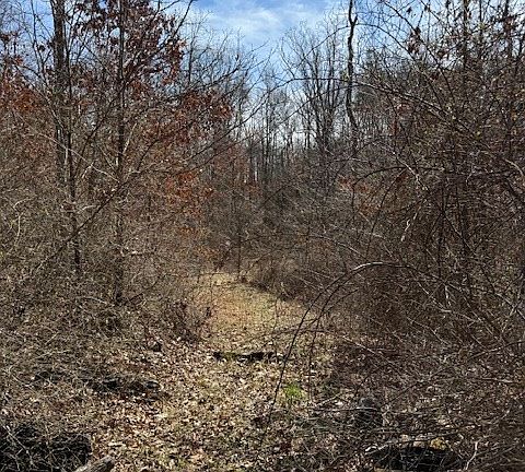 4th image of E Side State Rte #335