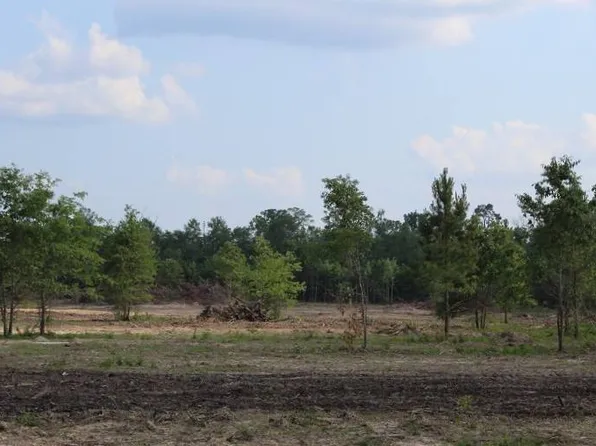 1374 Cb Byrd Rd, Many, LA 71449