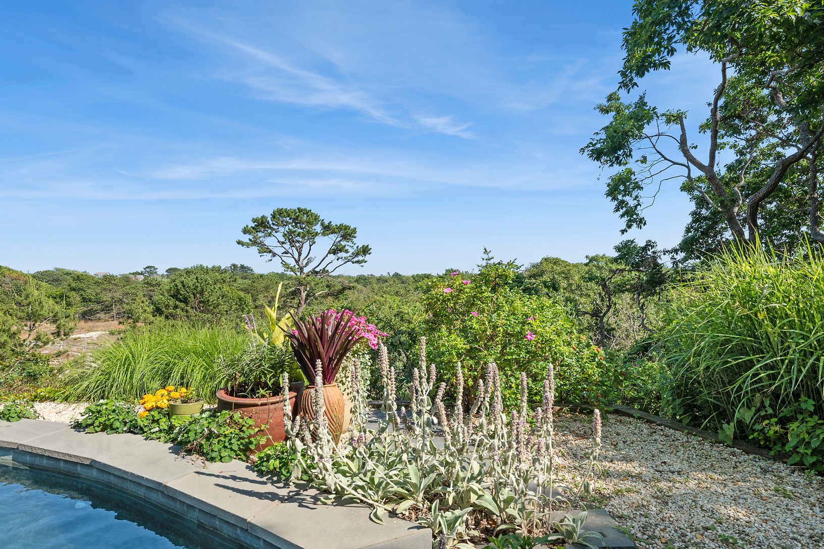  Low Maintenance Natural  