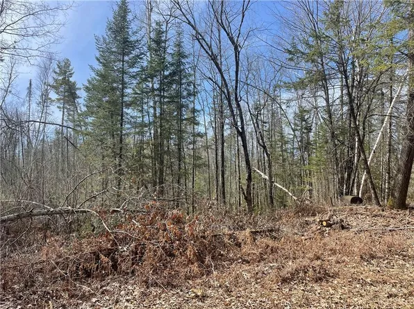 0 155th Street, Bloomer, WI 54724