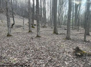 Elk River Rd, Monterville, WV 26282
