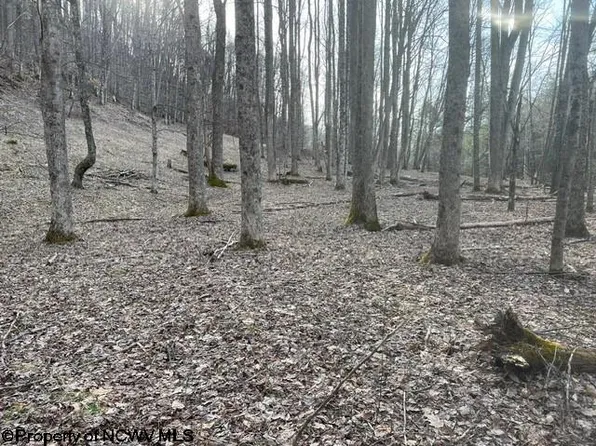 Elk River Rd, Monterville, WV 26282