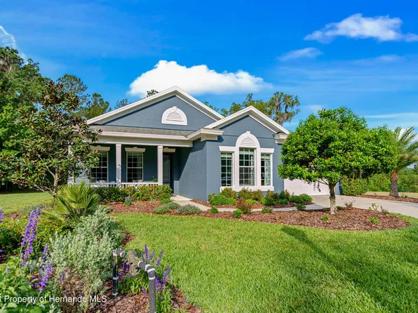 19651 Cypress Pond Ct, Brooksville, FL 34601