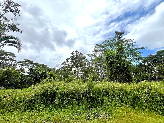 5th image of Lehua Rd Lot 146