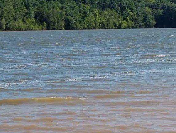 2nd image of N1828 River Forest Dr