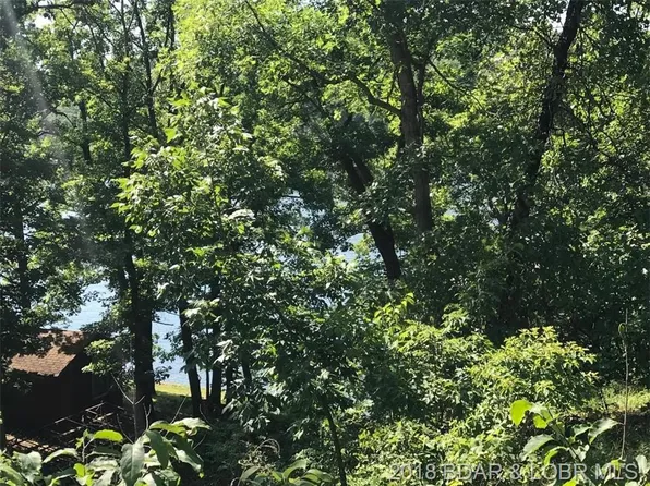 Swaying Oak Dr, Roach, MO 65787