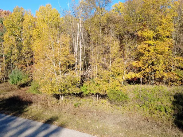 6359 Kilkenny Dr, Stanwood, MI 49346