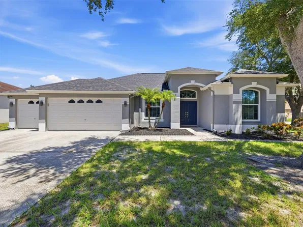 12020 RUNNING FOX CIRCLE, RIVERVIEW, FL 33569