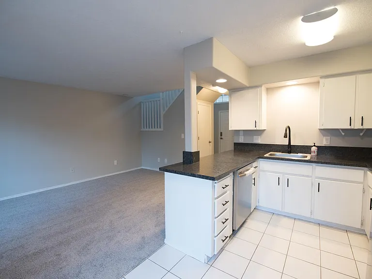 Brand new kitchen granite countertop, appliances, sink, faucets, paint and carpet.
