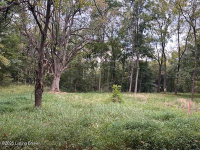 Lots 48 49 Peach St, New Haven, KY, 40051