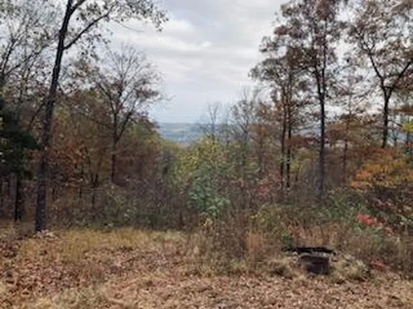 23669 State Hwy Ee, Aurora, MO 65605