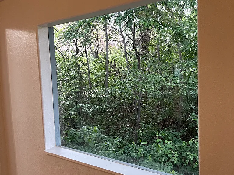 living room window