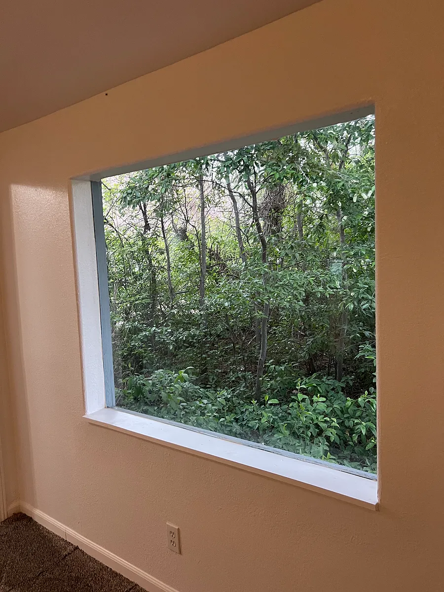 living room window - 421 Maple Ave