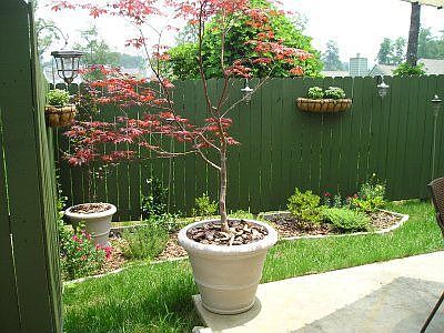 Private Garden