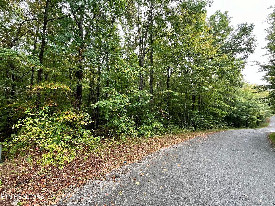 2nd image of LOT 1 Evergreen Dr