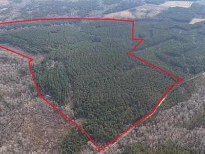 198 Culverton Church Rd, Sparta, GA, 31087