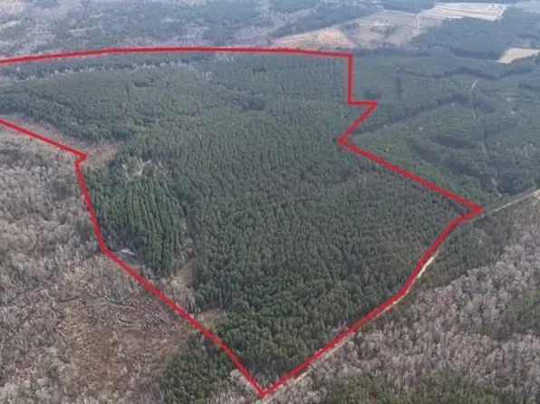 198 Culverton Church Rd, Sparta, GA 31087