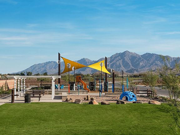 Alamar Stargaze Grove Park