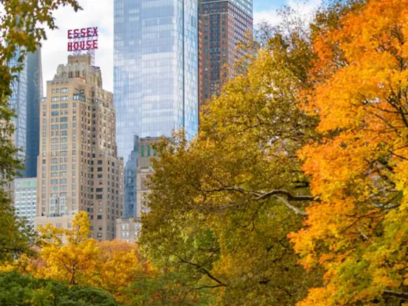 160 Central Park South 1714 image 13 of 14