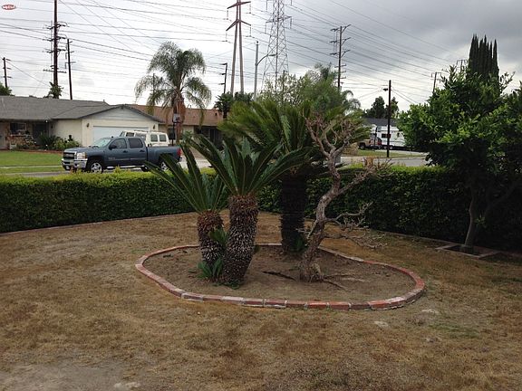 2nd image of 8691 Tamarack Way