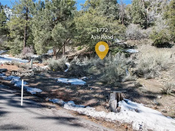 1772 Ash Rd, Wrightwood, CA 92397