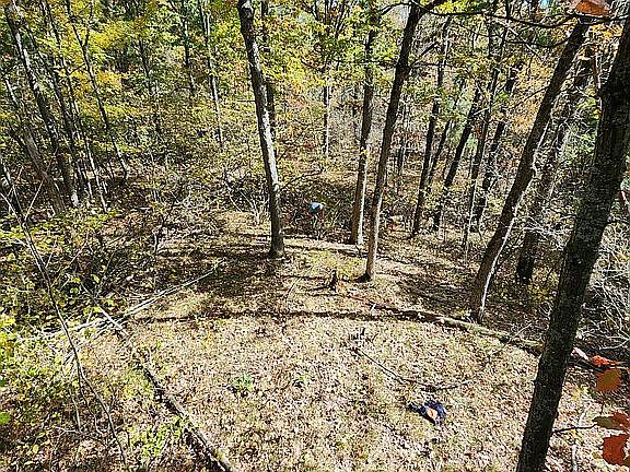 4th image of 0 W Lily Lake Rd