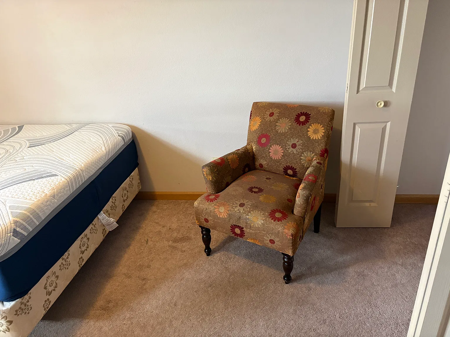 506 Buena Vista Ct — Photo 3