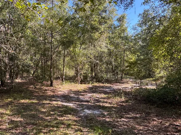 136 Cr, Live Oak, FL 32060
