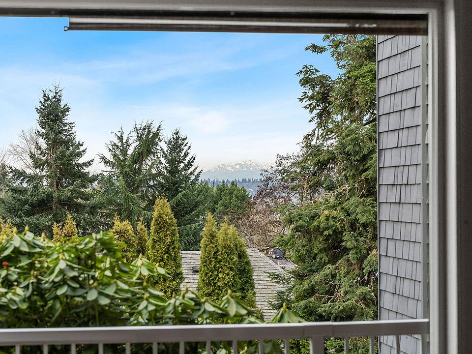 Olympic Mountain views
