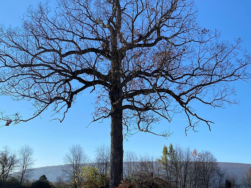 Pond Rd 26, Muncy, PA 17756 MLS WB98833 Zillow