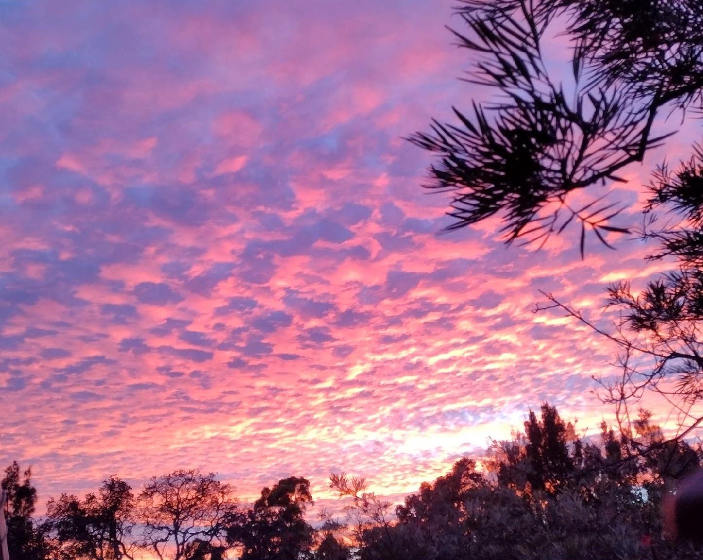 (Undisclosed Address), Ocean View, HI 96704 Zillow