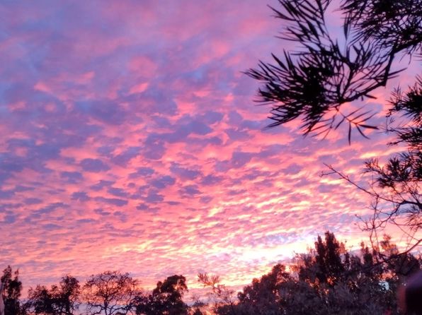 (undisclosed Address)