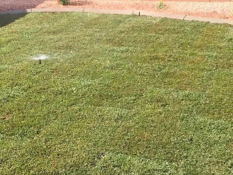 Private Fenced Backyard