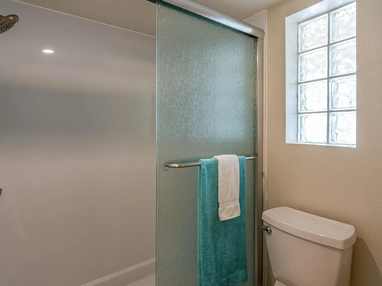 Master shower