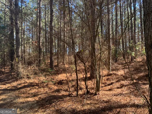 0 Veterans Dr, Danielsville, GA 30633