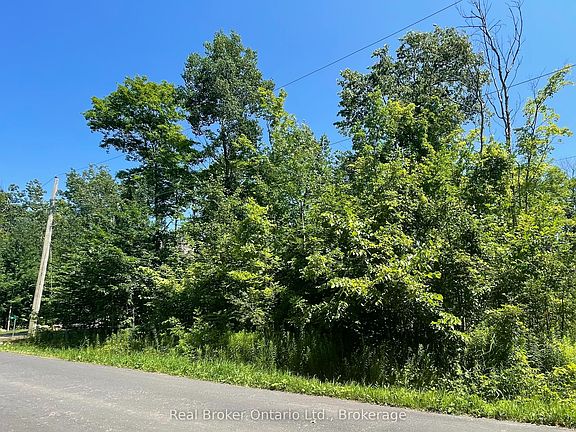 4th image of 71 Wozniak Rd