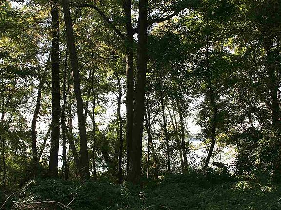 4th image of 9 County Road 3504