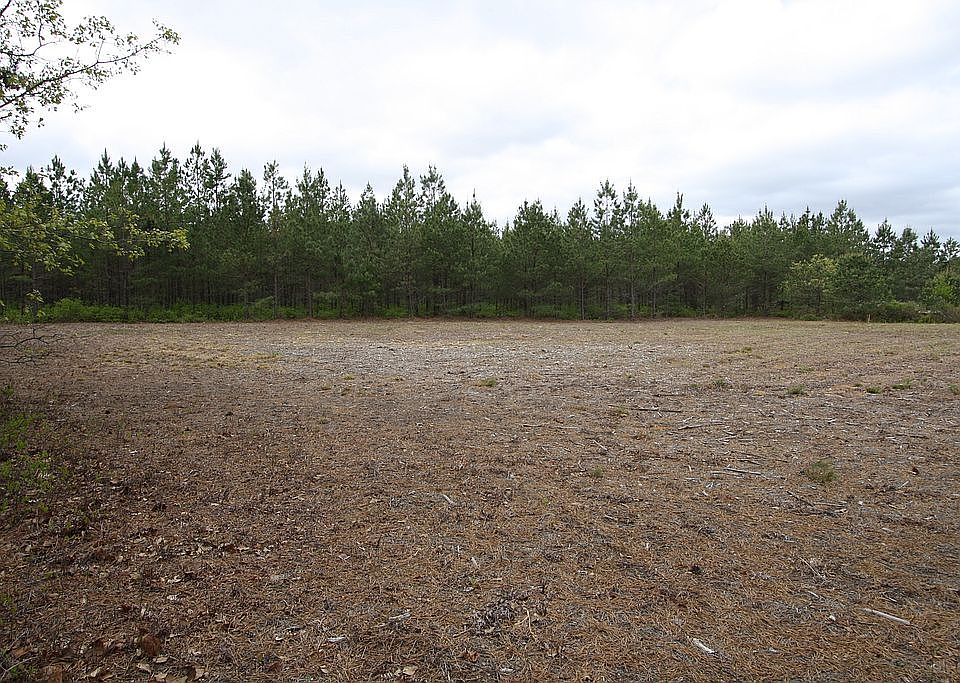 Rear of property
