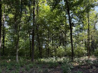 LOT 3 Lakeshore Dr, Bainbridge, GA 39819