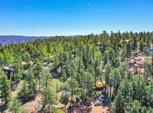142 Osoeola Rd, Woodland Park, CO 80863