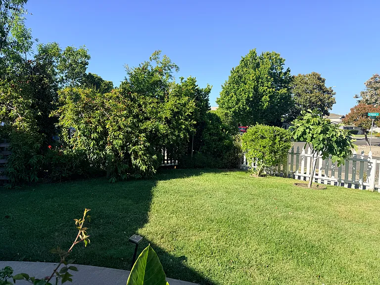 937 Trifone Dr — Photo 49