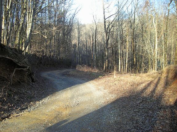 Bull Gap Road. Property to right.