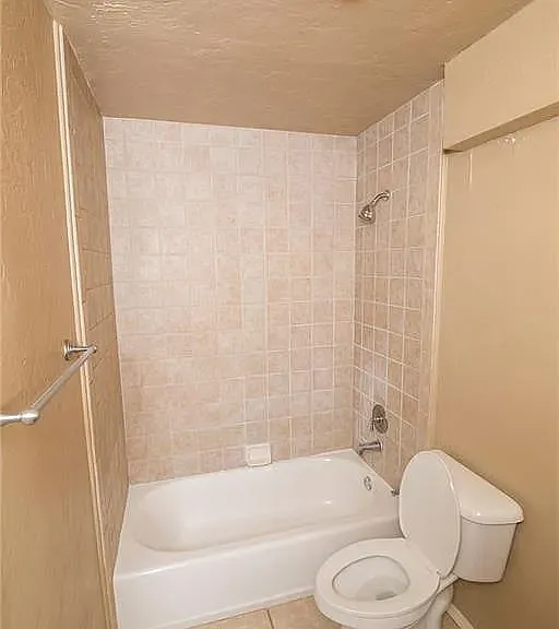 1 Raton — Photo 21