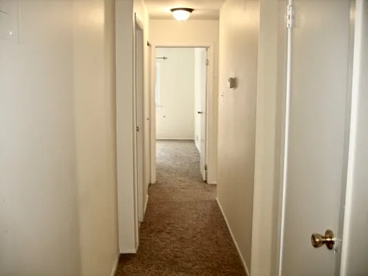 Rented by D'Andrea Craig Realty | media 6